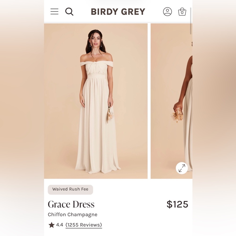 Chiffon Grace Dress in Champagne